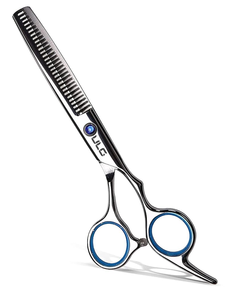 HASTHIP® Hair Thinning Scissors Professional Barber’s Texturizing Teeth Shears for Hairdressing, Salon and Home Use Thinning Shears for Hair Cutting, Made of Japanese Stainless Steel, 6.5 inch