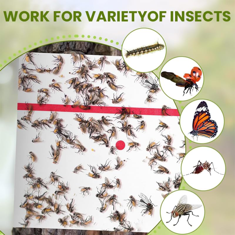 HASTHIP Sticky Trap Roll for Indoor and Outdoor Insect Control with Extra Sticky 10m Roll | Safe Non Toxic Fly Catcher for Garden and Home