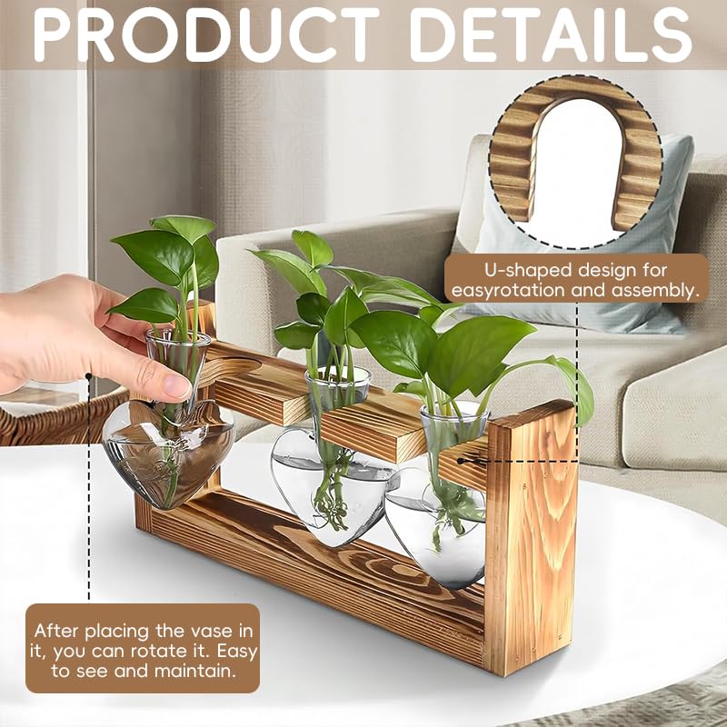 HASTHIP Hydroponic Glass Vase Kit for Desktop Decor with 3 Heart Planters & Wooden Stand