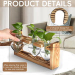 HASTHIP Hydroponic Glass Vase Kit for Desktop Decor with 3 Heart Planters & Wooden Stand