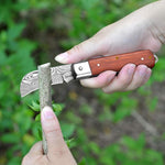 HASTHIP Grafting Cutter Tool for Fruit Trees and Flowers with 7.56 in Folding Design featuring Curved Steel Blade and Anti Slip Wooden Handle