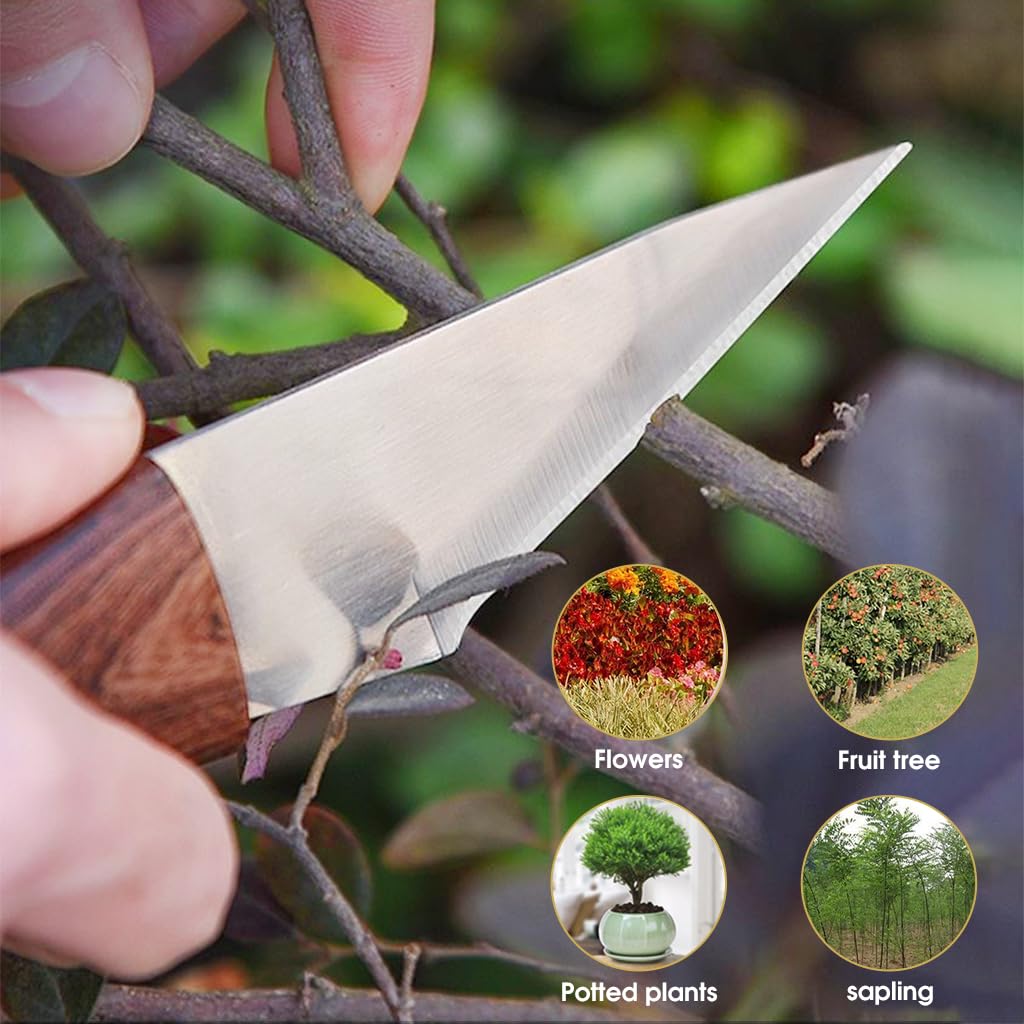 HASTHIP Grafting Tool for Organic Fruit Trees with Ergonomic Wooden Handle | Stainless Steel Cutter in Portable Leather Pouch