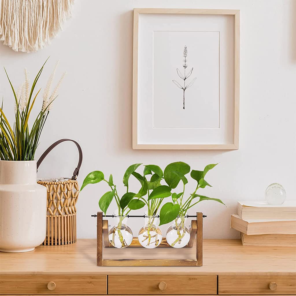 HASTHIP Hydroponics Glass Planter for Desktop Decor with 3 Bulb Vases and Wooden Stand | 11 in Wide