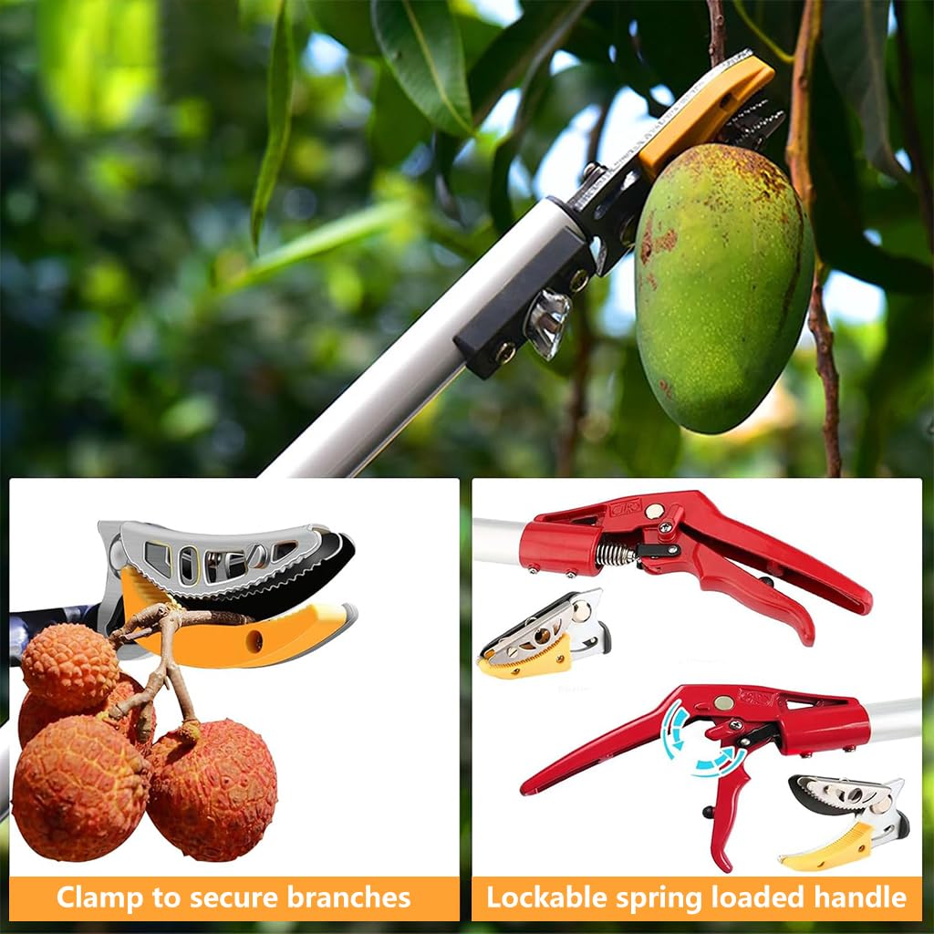 HASTHIP Extendable Tree Pruner for High Branch Cutting with 5.9–9.8 ft Telescopic Pole and SK5 Steel Blade | Ideal for Fruit Trees and Garden Trimming