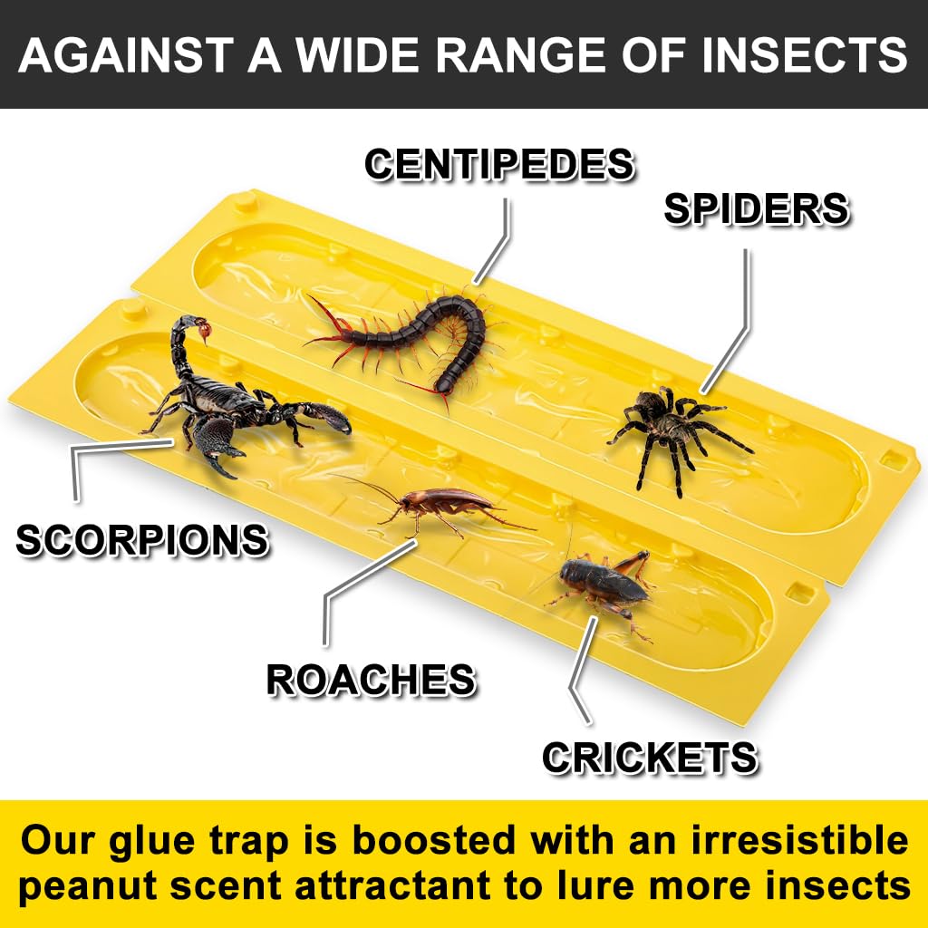 HASTHIP Sticky Fly Trap for Indoor and Outdoor Use with Pre-Glued Panels 8Pcs 22x5cm | Yellow Bug Catcher for Flies and Cockroaches