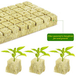 HASTHIP Seed Starter Rockwool for Germination and Cloning with 50 pcs 1 in Cubes | High Density Stonewool for Hydroponic Vegetables and Herbs