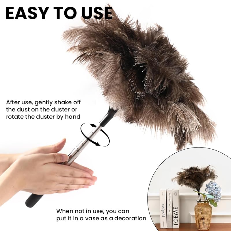 HASTHIP Ostrich Feather Duster for Ceiling Fans and Furniture 1.5m Extendable Handle with Stainless Steel Telescopic Design