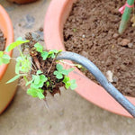 HASTHIP Weeder Hand Tool for Garden and Lawn with 14.1 in Handle featuring 4 Steel Claws