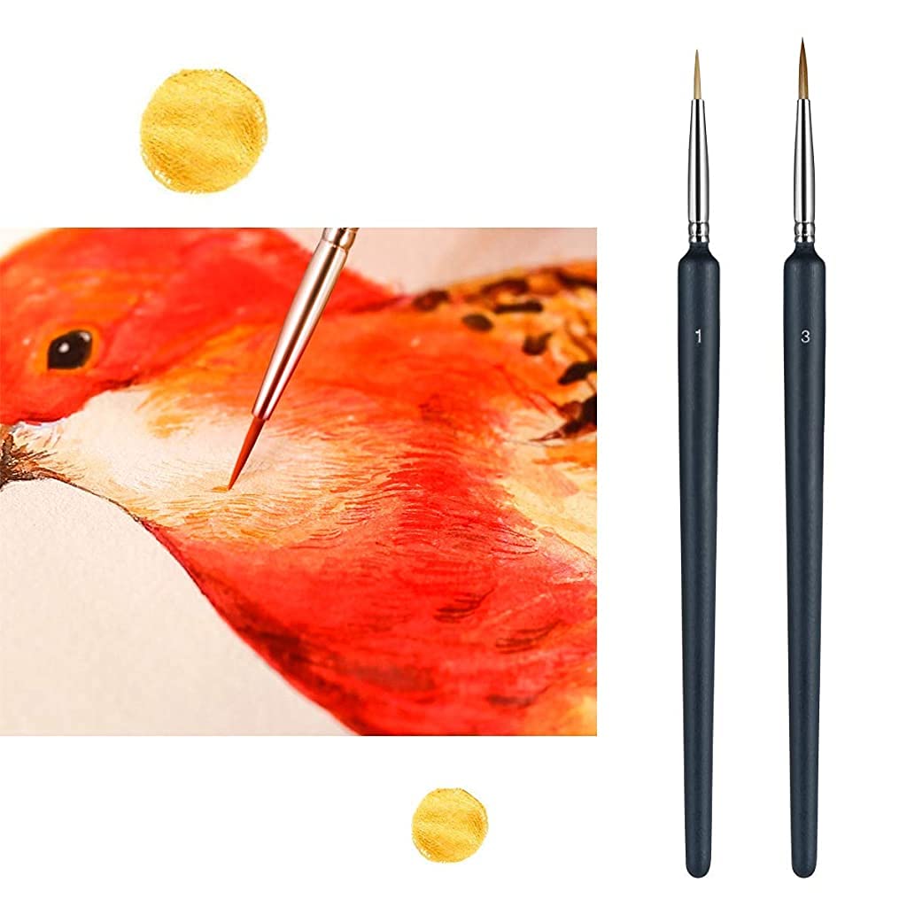 HASTHIP Painting Brushes Set for Acrylic Watercolour and Oil | 5 PCS with Easy Grip Handles