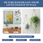 HASTHIP Wall Anchor Hooks for Picture and Key Hanging 20Pcs with Curved Stainless Steel Design