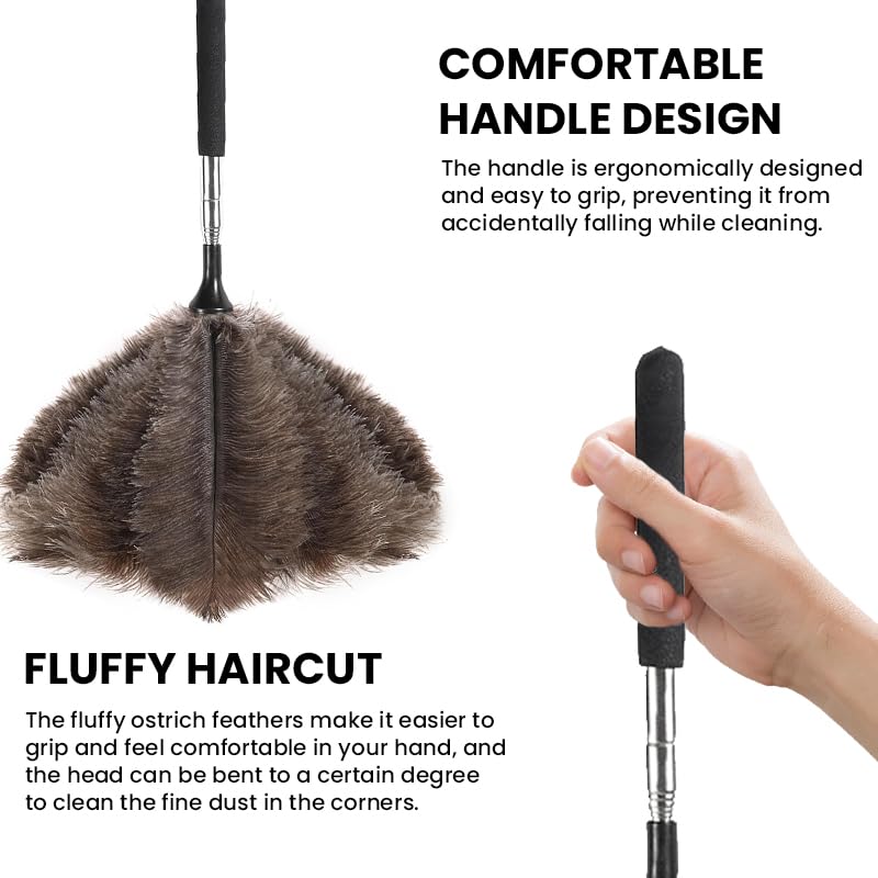 HASTHIP Ostrich Feather Duster for Ceiling Fans and Furniture 1.5m Extendable Handle with Stainless Steel Telescopic Design