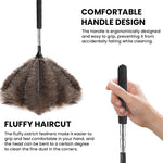 HASTHIP Ostrich Feather Duster for Ceiling Fans and Furniture 1.5m Extendable Handle with Stainless Steel Telescopic Design