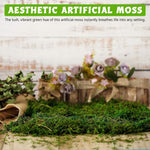 HASTHIP Artificial Moss for Crafts and Table Centerpieces featuring 100 g Cotton Green Decor | Low Maintenance Faux Moss for Potted Plants