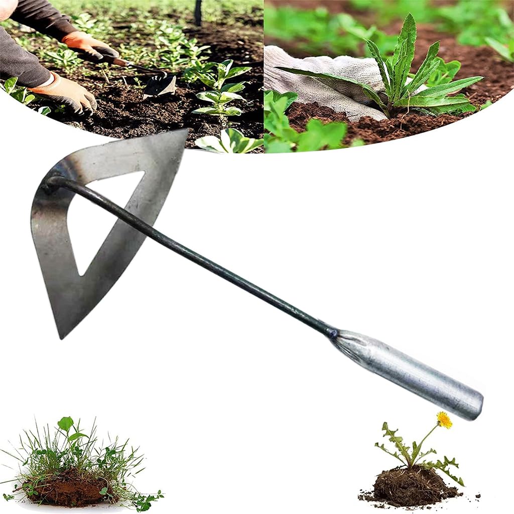 HASTHIP Weeder Hand Tool for Garden and Lawn with 6.3 in Wide Head and 11 in Handle | Iron Construction