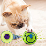 HASTHIP® Interactive Toy Ball for Dog, Dog Toys Ball PVC Dog Molar Chew Ball Funny Pet Ball Chewing Toy Ball Toy for Dog Medium Large Pet Dogs