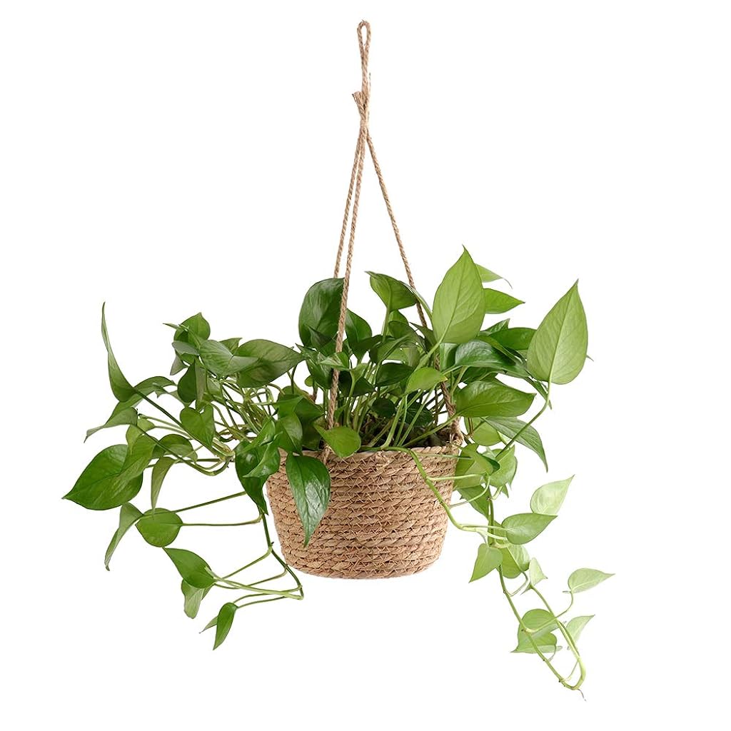 HASTHIP® Hanging Flower Basket Rustic Style Home Decor Handmade Hemp Rope Woven Planter Basket Hanging Basket for Artifical Flower Hanging Hemp Rope Planter for Artifical Flower