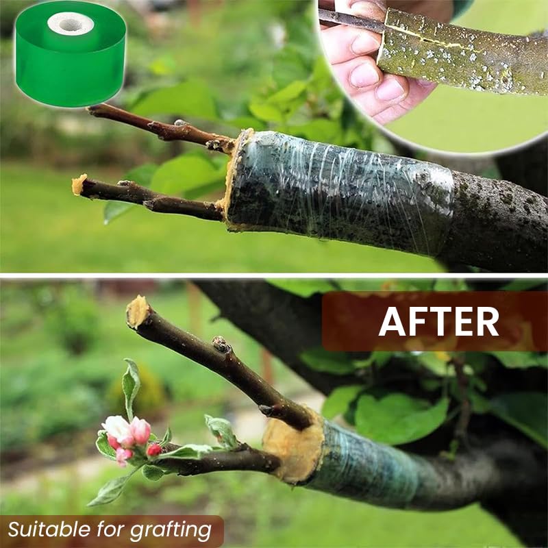 HASTHIP Grafting Cutter Tool for Fruit Trees and Flowers with 7.56 in Folding Design featuring Curved Steel Blade and Anti Slip Wooden Handle | Includes 1 Roll Grafting Tape
