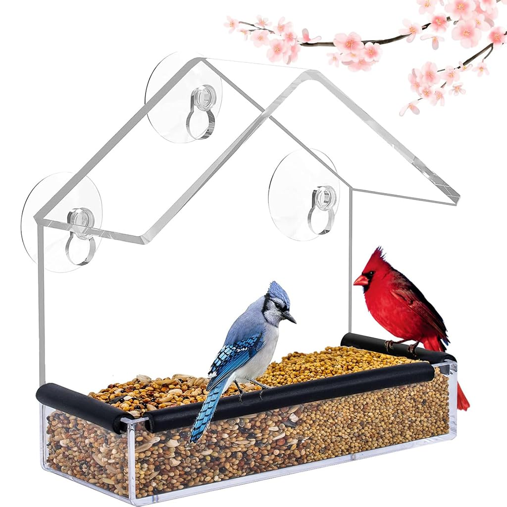 HASTHIP Bird Feeder for Windows with Suction Cups and Perching Rod | Clear Hut Style Design