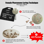 HASTHIP Moth Traps for Clothes and Pantry with Strong Glue Backing and Pheromone Lure 10PCS