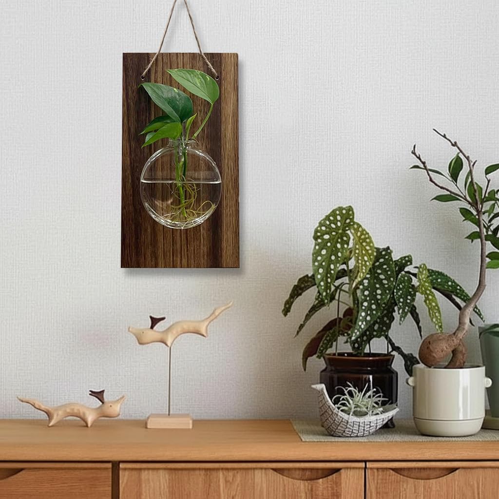 HASTHIP Glass Hydroponic Kit for Home Decor with Wooden Board and Hemp Rope | 18x33cm Wall Hanging Planter