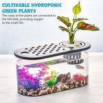HASTHIP® Plastic Fish Tank, Narrow Aquarium, Modern Transparent Fish Bowl, Desktop Goldfish Tank, Clear Betta Fish Tank, Portable Fish Tank with Oxygen Pump Hole
