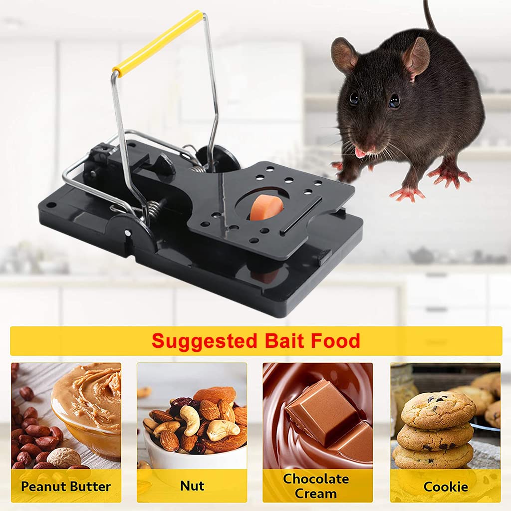 HASTHIP Rat Traps for House and Garden featuring Simple Bait Mechanism | 12PCS Reusable