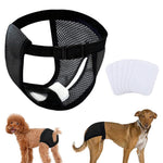 HASTHIP® Pañales Reutilizables para Perros Hembra Lavables y Transpirables con 3 Almohadillas de Algodón Absorbentes,Ajuste Elástico y Hebilla Rápida,Protector de Incontinencia Época