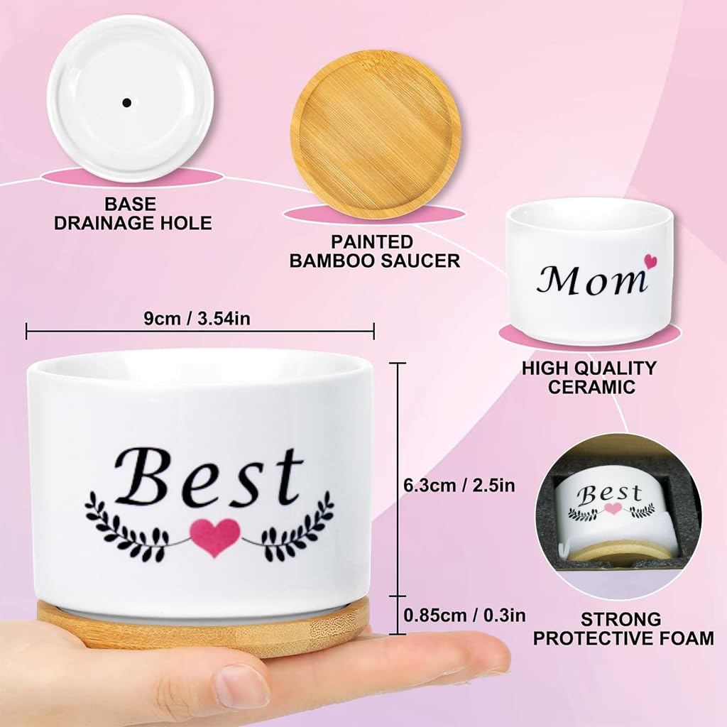 HASTHIP Ceramic Pots for Succulent Plants with Wooden Trays 3.1 in Set of 3 | Gift for Mum