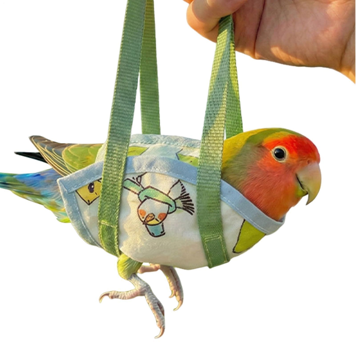 HASTHIP® Parrot Travel Cage - Escape-Proof Vest Harness | Bird Carrier with Handle Parakeet Travel | Escape-Proof Outdoor Vests for Cockatiel Parakeet Finch Outdoor Indoor Walking Park Garden-Blue-XL