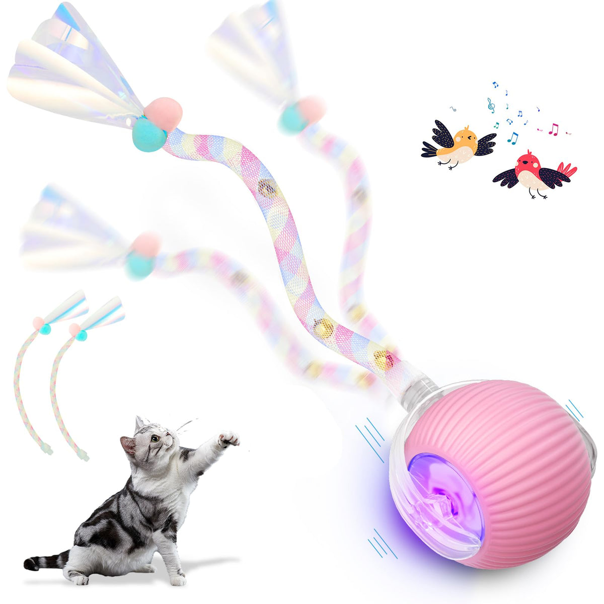 HASTHIP® Interactive Cat Toys for Indoor Cats