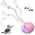 HASTHIP® Interactive Cat Toys for Indoor Cats