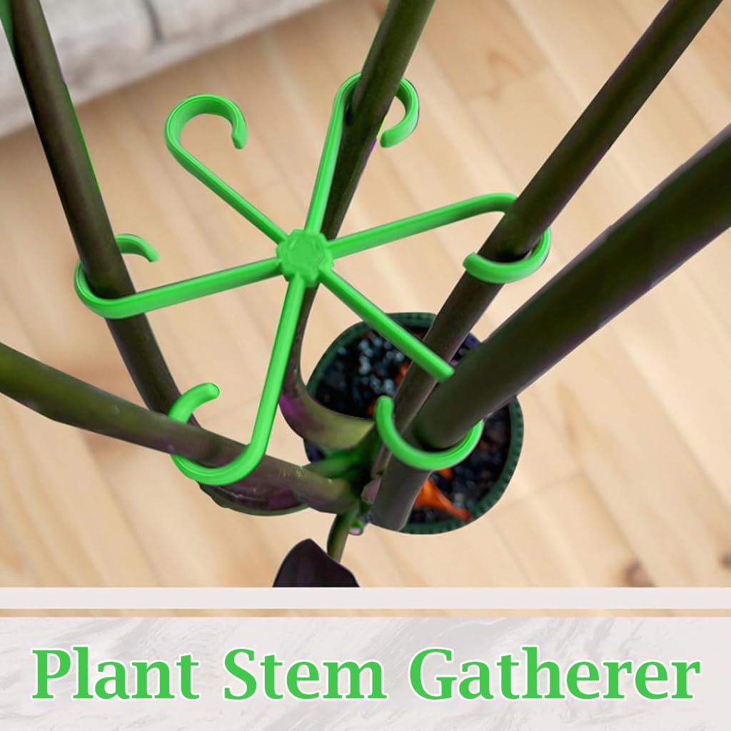 HASTHIP Plant Climbers for Houseplants 4 Pack with 6 Claw Plastic Stem Support Clips | Secure Growth