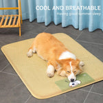 HASTHIP® Sleeping Pad for Pets, Rattan Cat Bed Mats with Anti-Slip & Waterproof Bottom, Pet Pad Sleeping Easy to Clean Ideal for Dogs & Cats - 75x100CM
