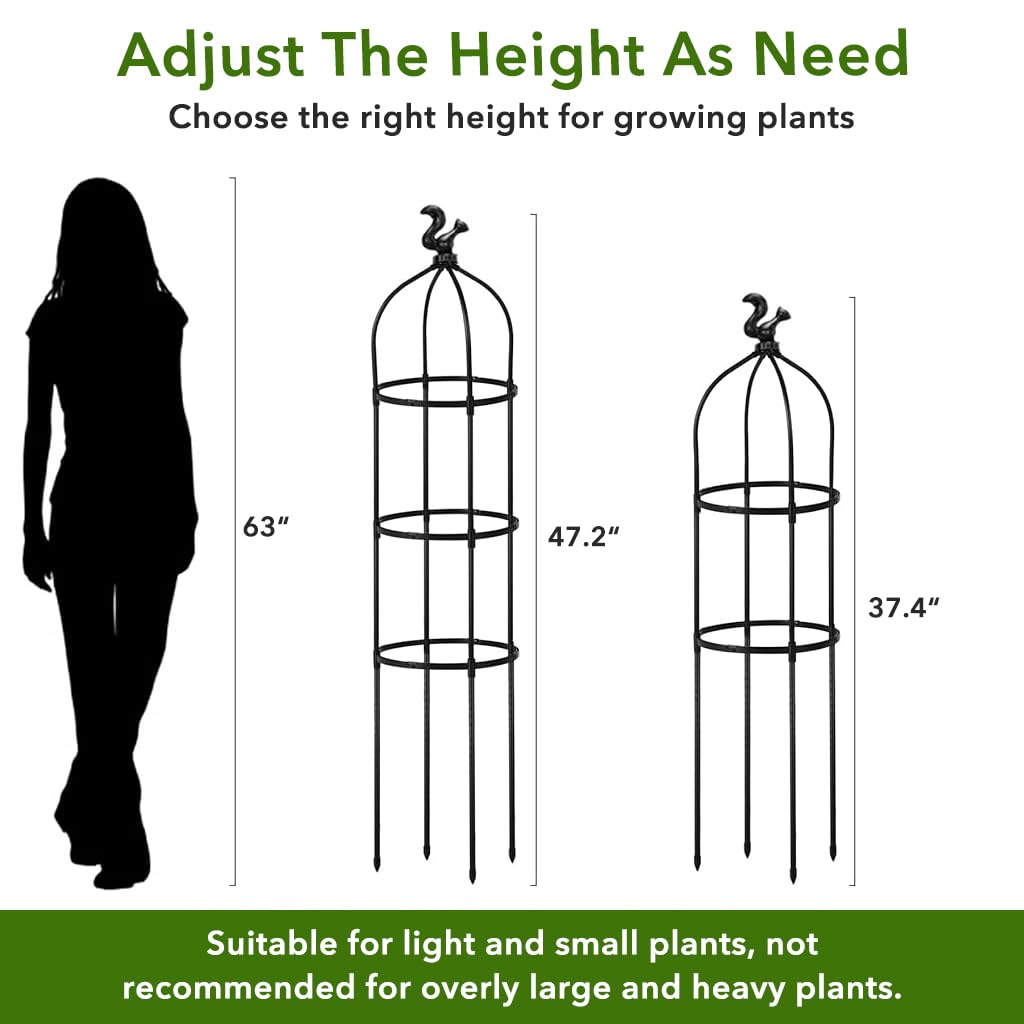 HASTHIP Garden Plant Support Cages 120cm for Climbing Plants with Adjustable Metal Frame | Indoor and Outdoor Balcony Decor