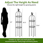 HASTHIP Garden Plant Support Cages 120cm for Climbing Plants with Adjustable Metal Frame | Indoor and Outdoor Balcony Decor