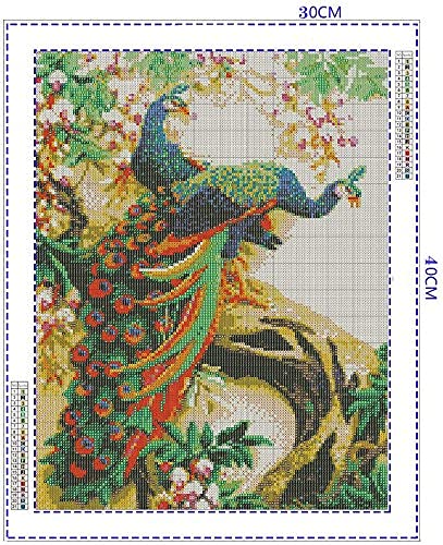 HASTHIP 5D Diamond Painting DIY Peacock for Home Décor with Cross Stitch Craft 32×45 Cm