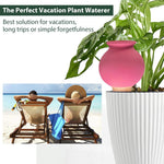HASTHIP Drip Irrigation Kit for Pots with Porous Ceramic Watering Device 4pcs | Automatic Plant Care