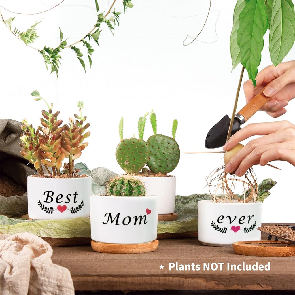 HASTHIP Ceramic Pots for Succulent Plants with Wooden Trays 3.1 in Set of 3 | Gift for Mum