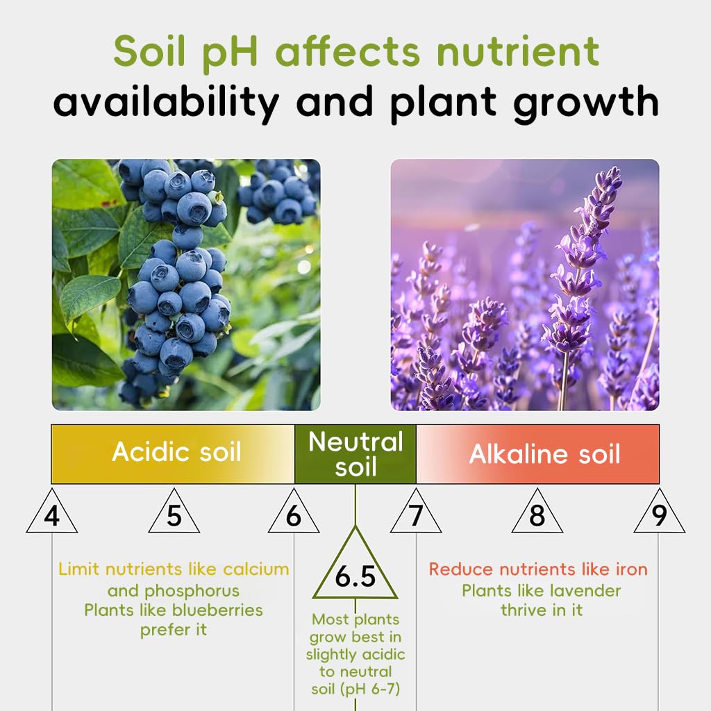HASTHIP Soil pH Test Strips for Garden and Lawn with 3.5–9 Range | 100 Count Pack