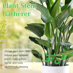 HASTHIP Plant Climbers for Houseplants 4 Pack with 6 Claw Plastic Stem Support Clips | Secure Growth