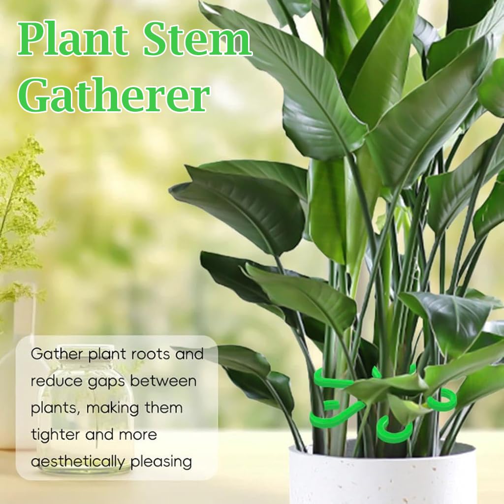HASTHIP Plant Climbers for Indoor and Outdoor Use featuring 6-Claw Stem Holders 4 Pack | Plastic Support Rings for Climbing Plants