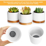 HASTHIP Flower Pot Hole Mesh Pad for Bonsai and Succulent Drainage 100 pcs 7.5 cm Plastic | Reusable Soil Retention Screen