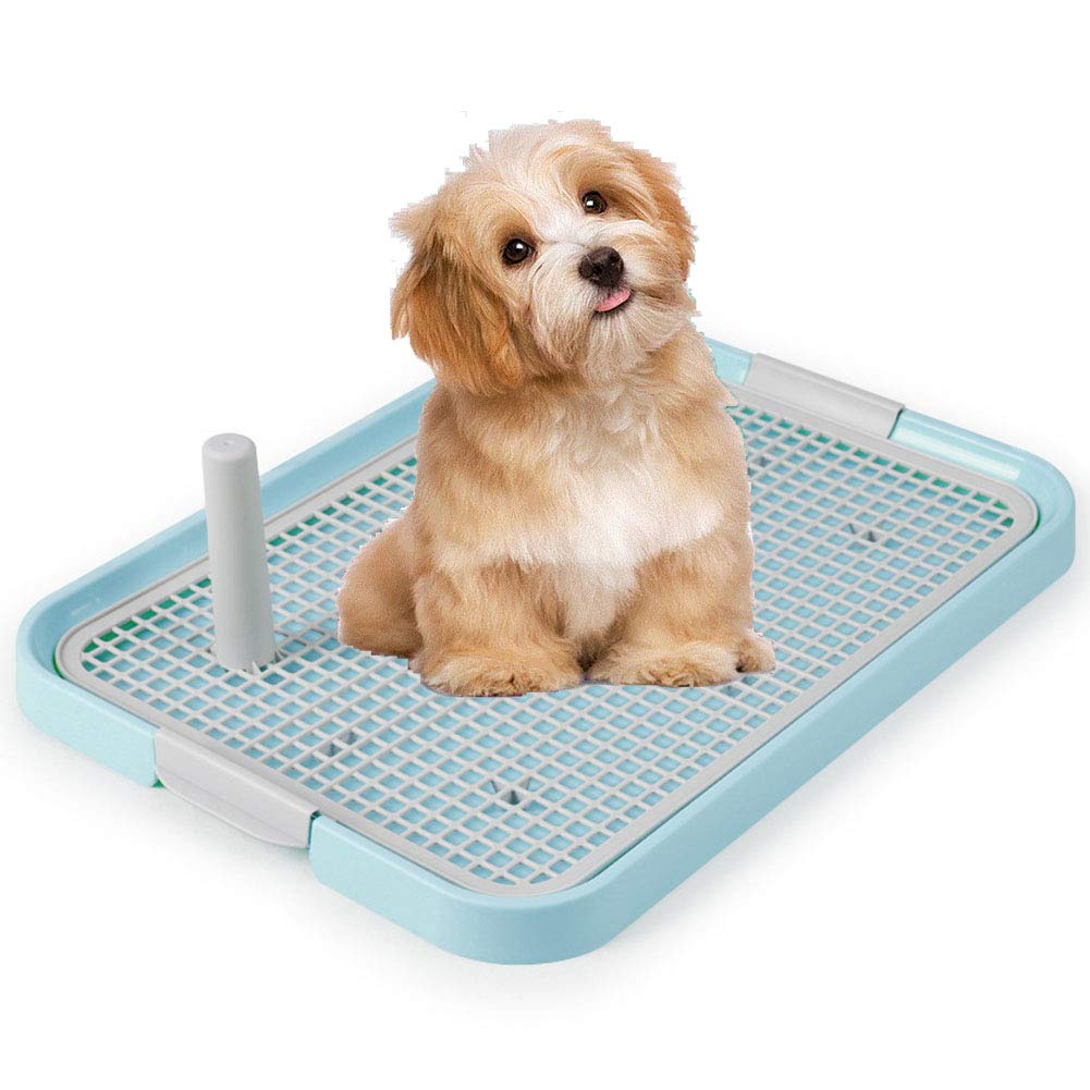 HASTHIP® Bandeja Sanitaria para Perros, Inodoro Interior para Cachorros con Rejilla Antiderrame, Caja de Entrenamiento Portátil, Plástico Resistente, Mantiene Patas Secas y Piso Limpio (19x1