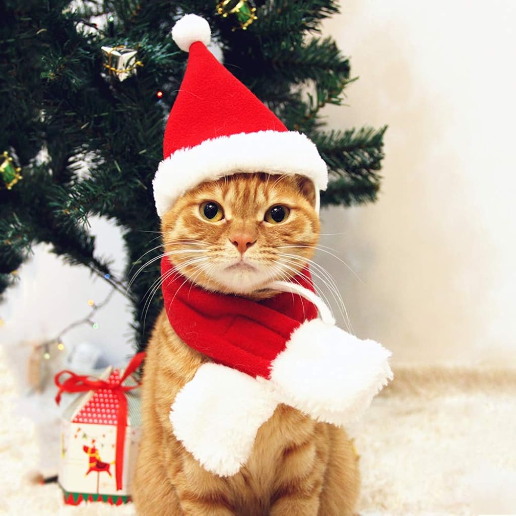 HASTHIP® Cat Santa Hat and Scarf Set,Christmas Pet Costume for Cats and Small Dogs,Holiday Winter Outfit Cute Kitten Accessories Cat Christmas Dress Up Pet Party Apparel Festive Clothes L