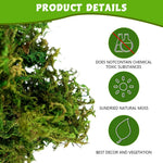 HASTHIP Artificial Moss for Crafts and Table Centerpieces featuring 100 g Cotton Green Decor | Low Maintenance Faux Moss for Potted Plants
