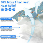 HASTHIP® Self-Cooling Pad for Dogs & Cats, Pressure Activated, No Water Needed Large Waterproof Mat for Heat Stroke Prevention for Stay Cool Indoor & Outdoor (60 * 45cm)