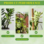 HASTHIP Plant Supports for Branch Stability with Flexible Frog Twist Ties 3 pcs | Green Cartoon Design