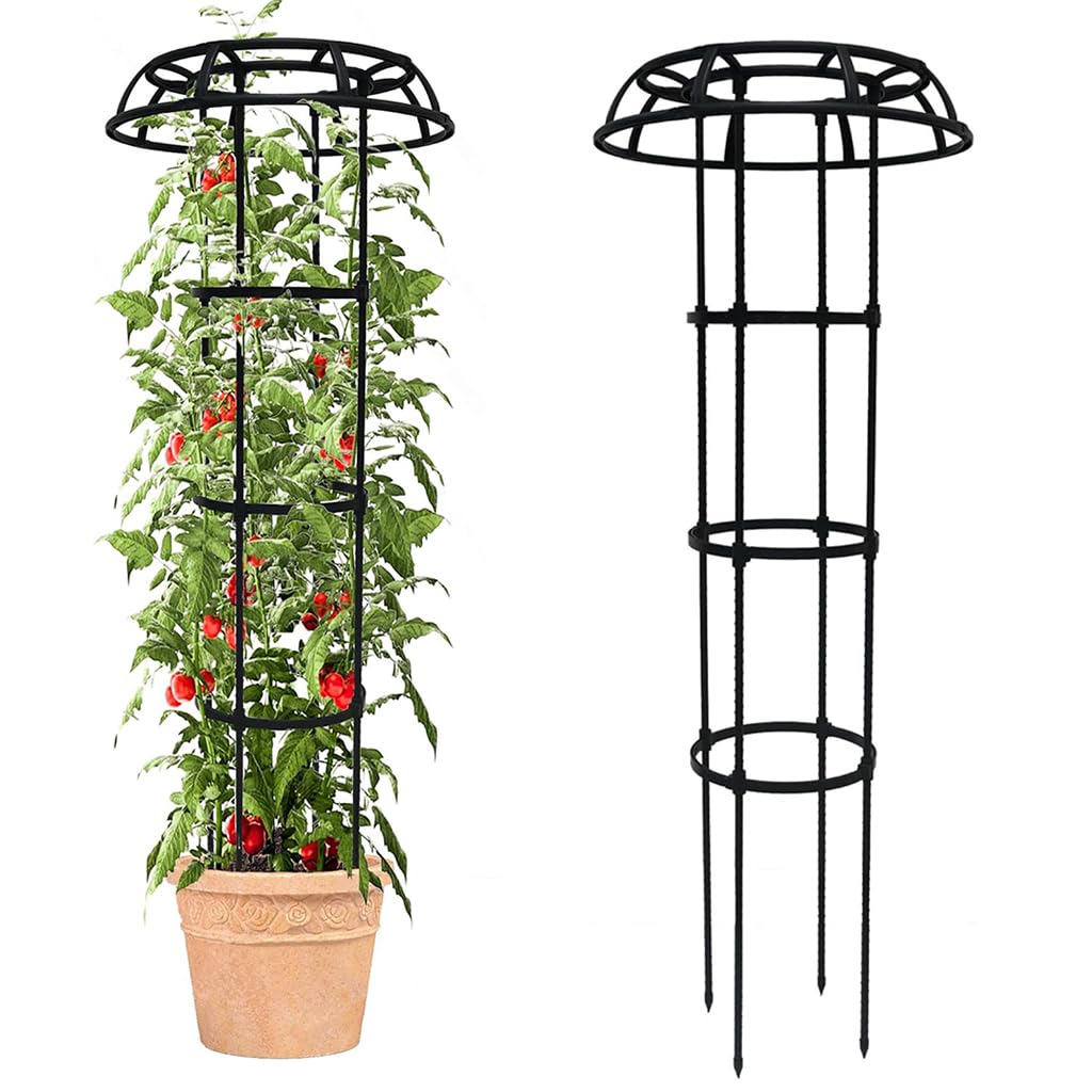 HASTHIP Upright Trellis for Climbing Plants with Hollow Roof Design and 135 cm Height | Steel Frame Adjustable Support for Indoor and Outdoor Gardening