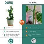 HASTHIP Plant Support Stick for Indoor and Outdoor Planters featuring 6PCS 15.75 in Spiral Metal Stakes