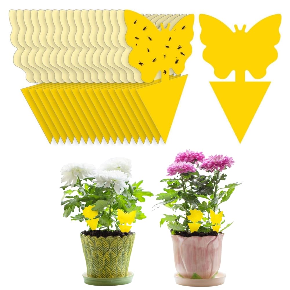 HASTHIP Fruit Fly Trap for Home with Strong Pre-Glued Adhesive 30 Pcs | Yellow Butterfly Design